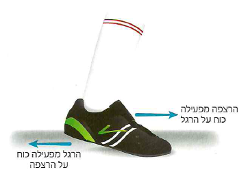 (בספר תרשים, היעזר במנחה)